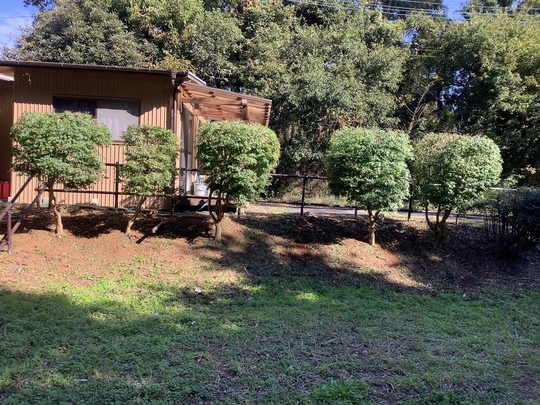 茨城でリフォーム・庭木剪定・害虫駆除 便利屋 ホームレンジャー